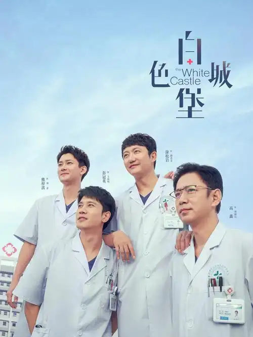 沉默的证词 电影天堂律政悬疑剧封面